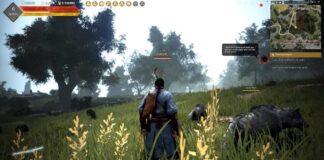 Black Desert в PlayStation Plus