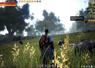 Black Desert в PlayStation Plus