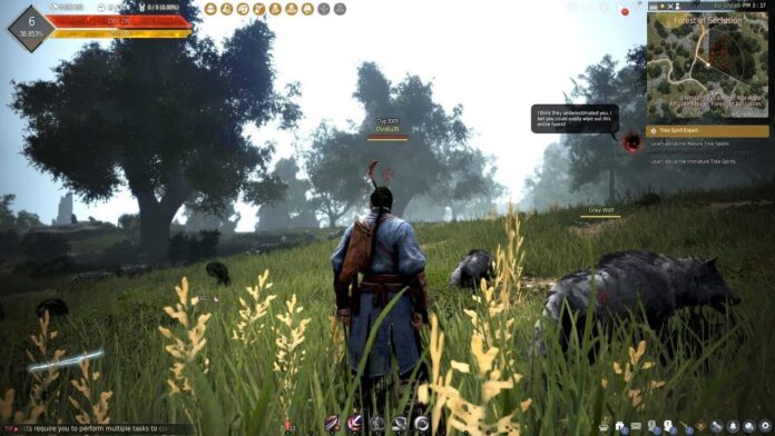 Black Desert появился в PlayStation Plus Black Desert в PlayStation Plus