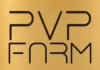 После четырёх месяцев соло-разработки в ОБТ выходит браузерная 3D MMORPG PVP.FARM