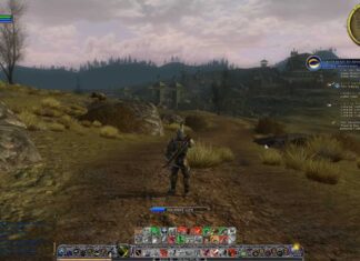 EG7 отчиталась о стабильной прибыли MMO: Palia остаётся главным драйвером EG7 отчиталась о выручке и MMO