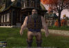 Lord of the Rings Online система соседей