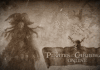 The Legend of Pirates Online