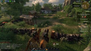 Gloria Victis план развития